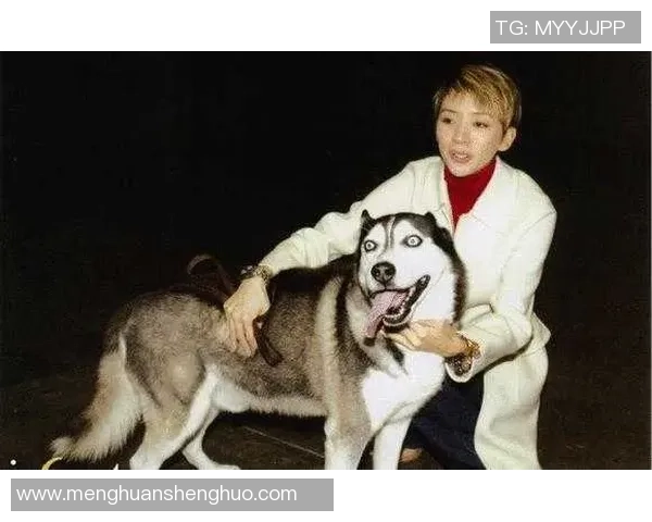 众多足球明星为何对中国情有独钟他们的故事与热爱揭秘